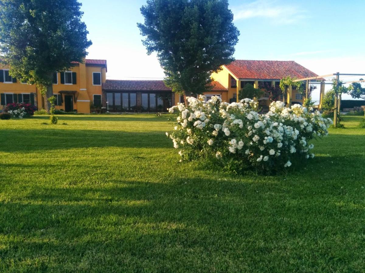 Antica Vigna Bed & Breakfast Чоджия Екстериор снимка