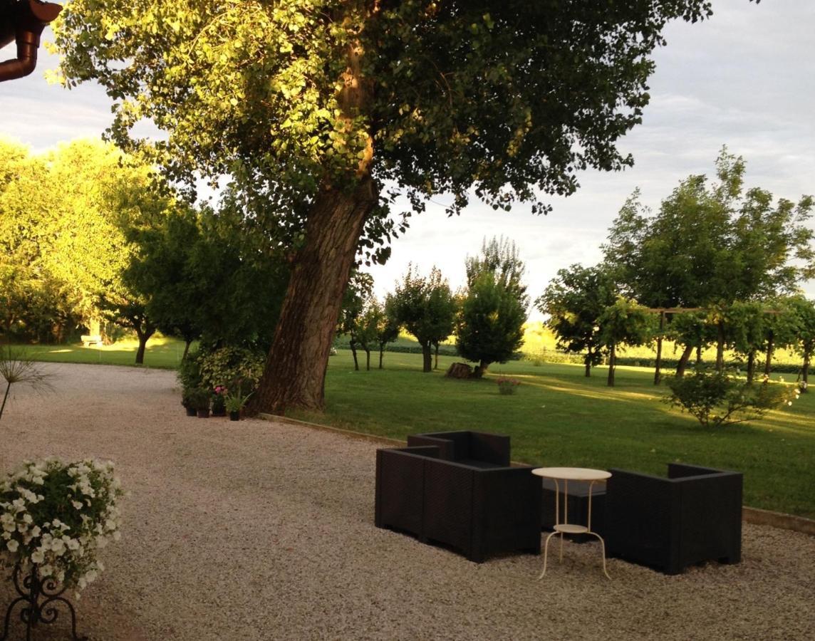 Antica Vigna Bed & Breakfast Чоджия Екстериор снимка
