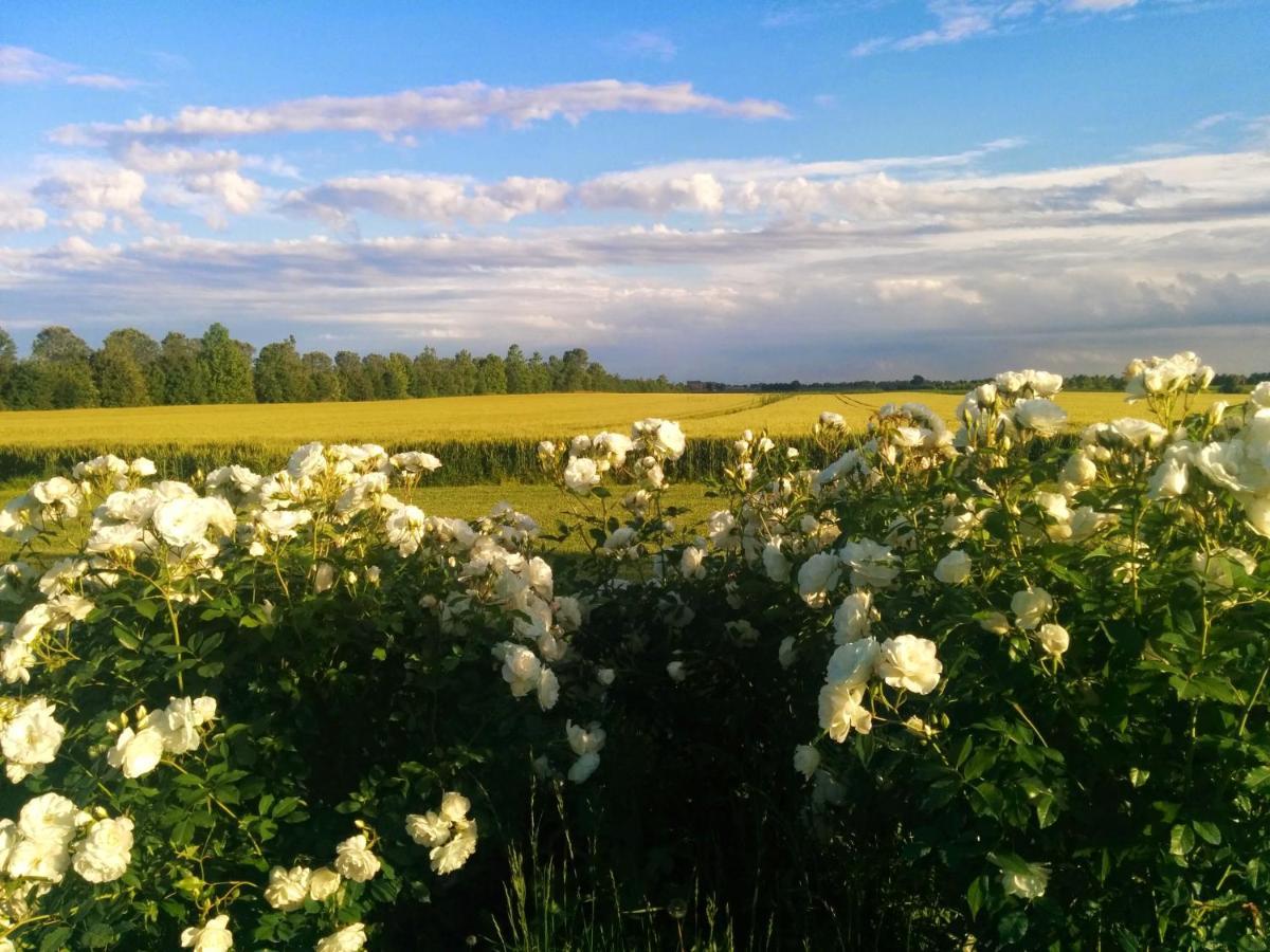 Antica Vigna Bed & Breakfast Чоджия Екстериор снимка