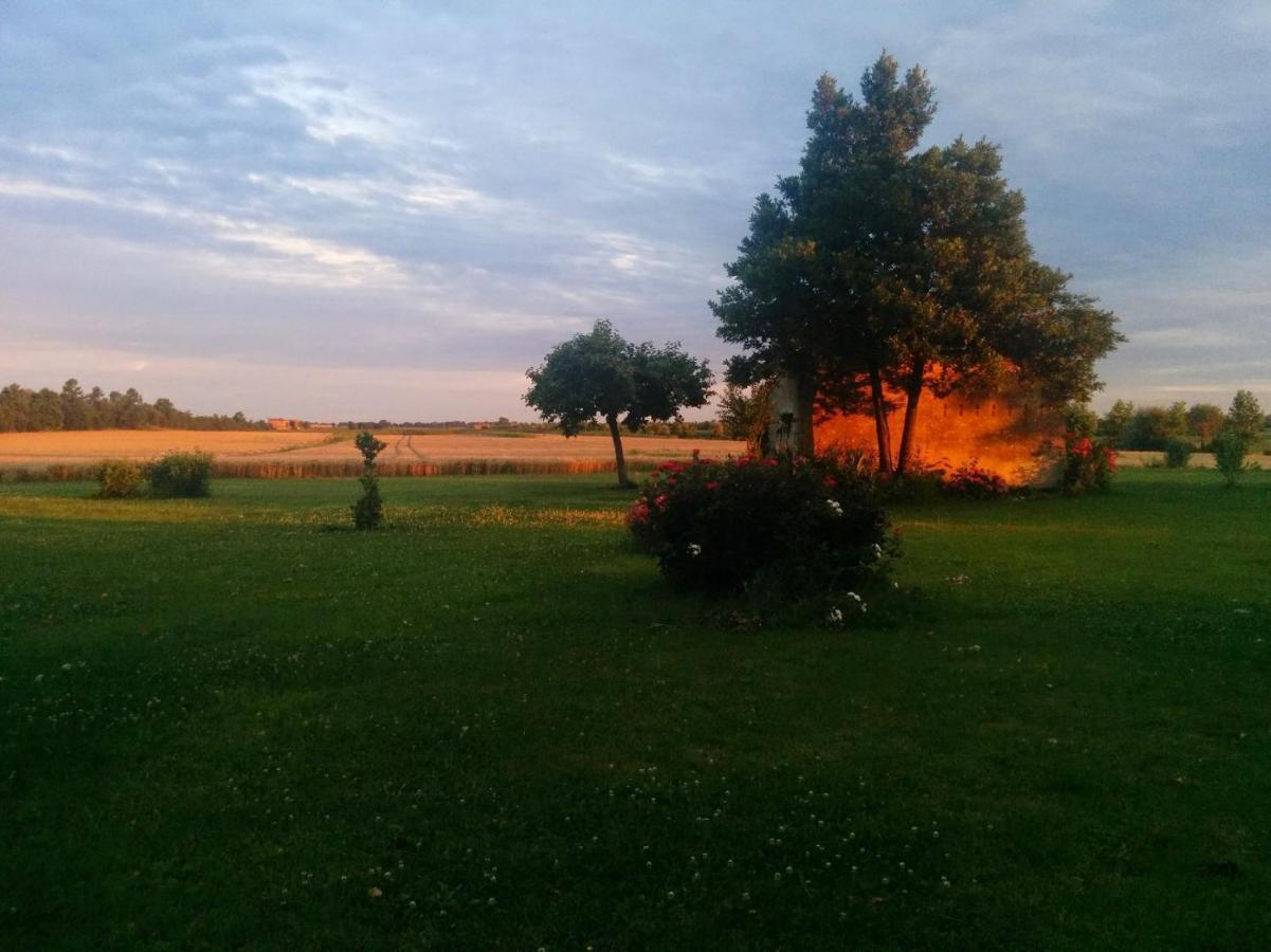 Antica Vigna Bed & Breakfast Чоджия Екстериор снимка